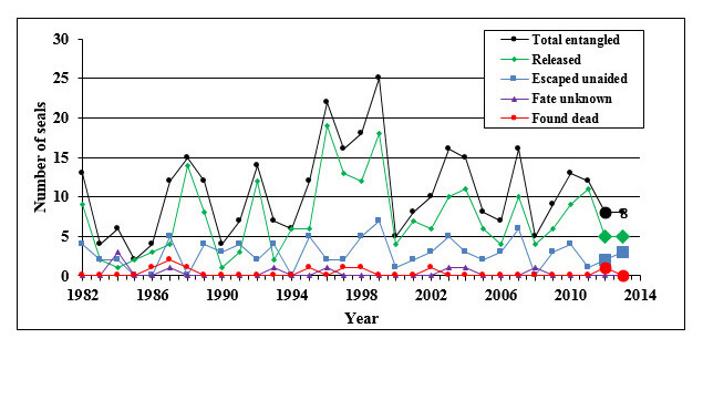 Number of Hawaiian monk seals observed entangled from 1982 through 2013. (NOAA's Pacific Islands Fisheries Science Center)
