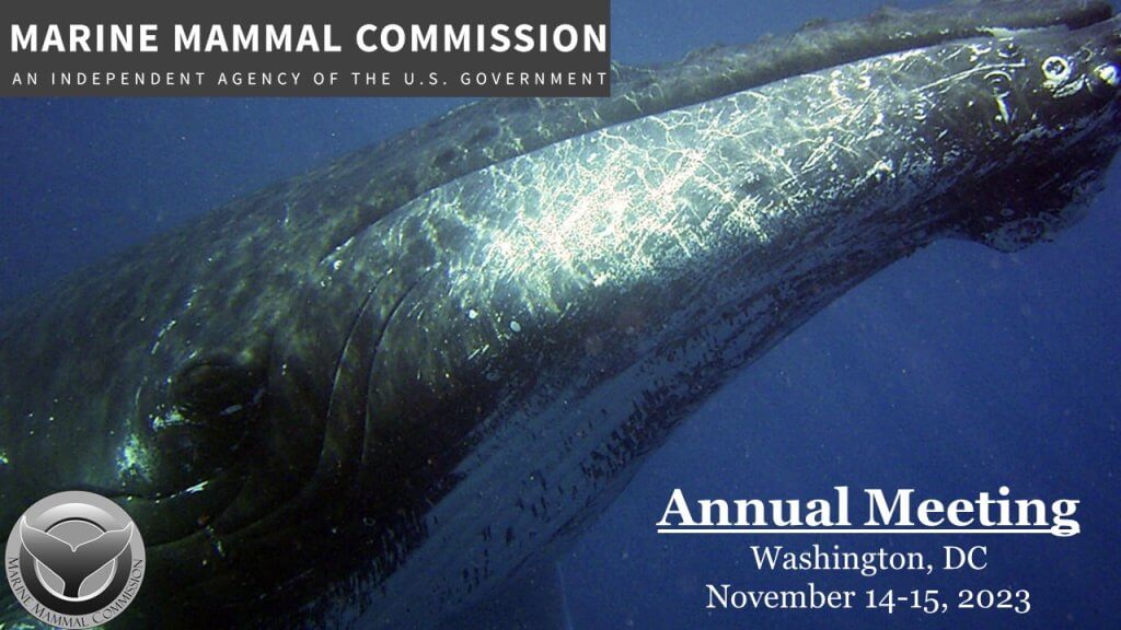 Cover Photo for the 2023 Commission Annual Meeting with a picture of a humpback whale