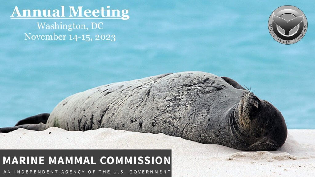 Cover Photo for the 2023 Commission Annual Meeting with a picture of a Hawaiian monk seal.