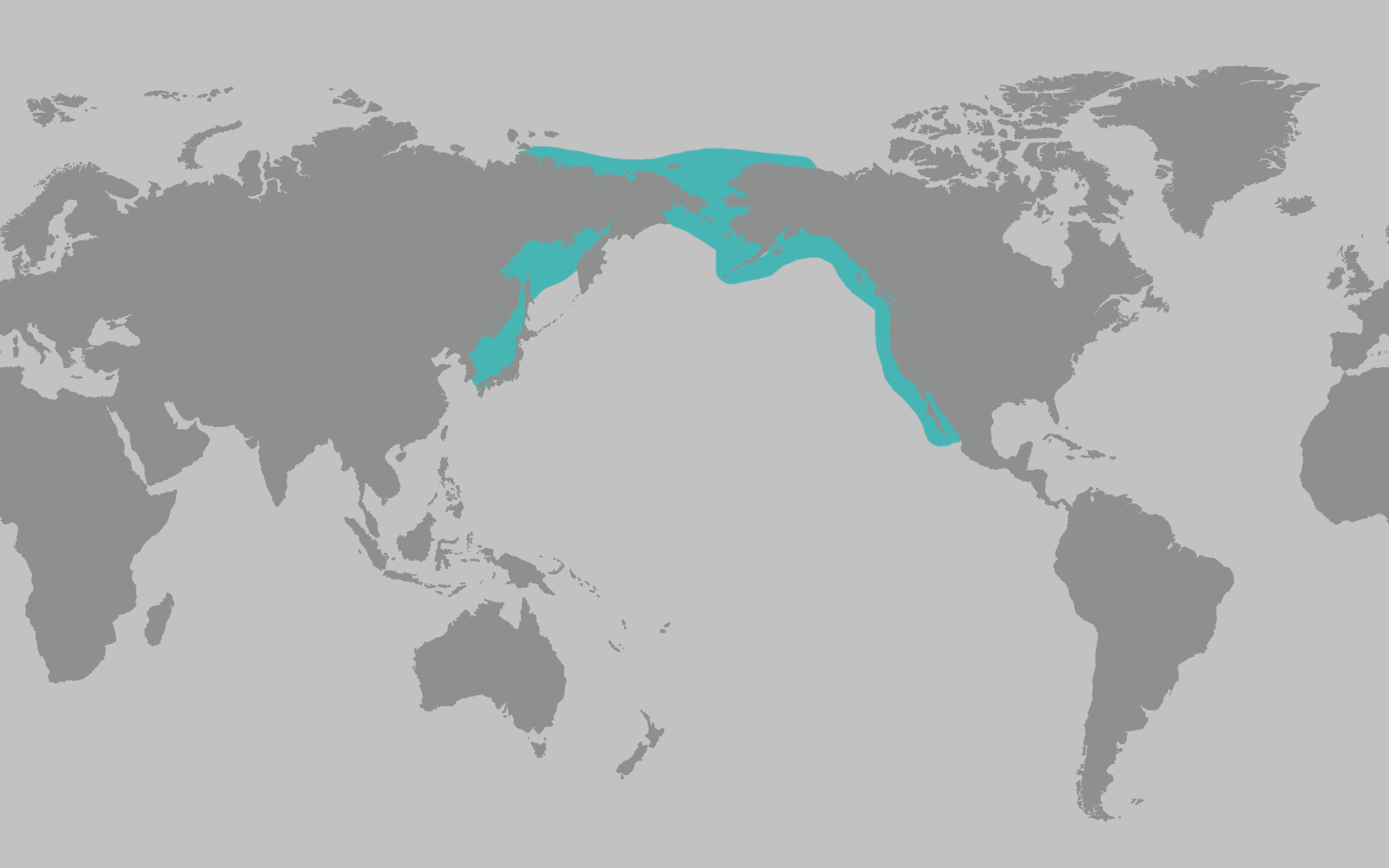 Gray Whale Range Map