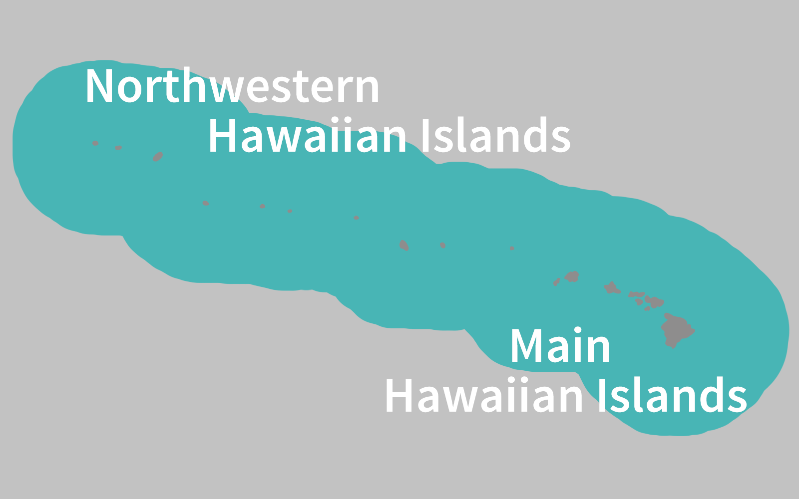 Hawaiian False Killer Whale Range Map