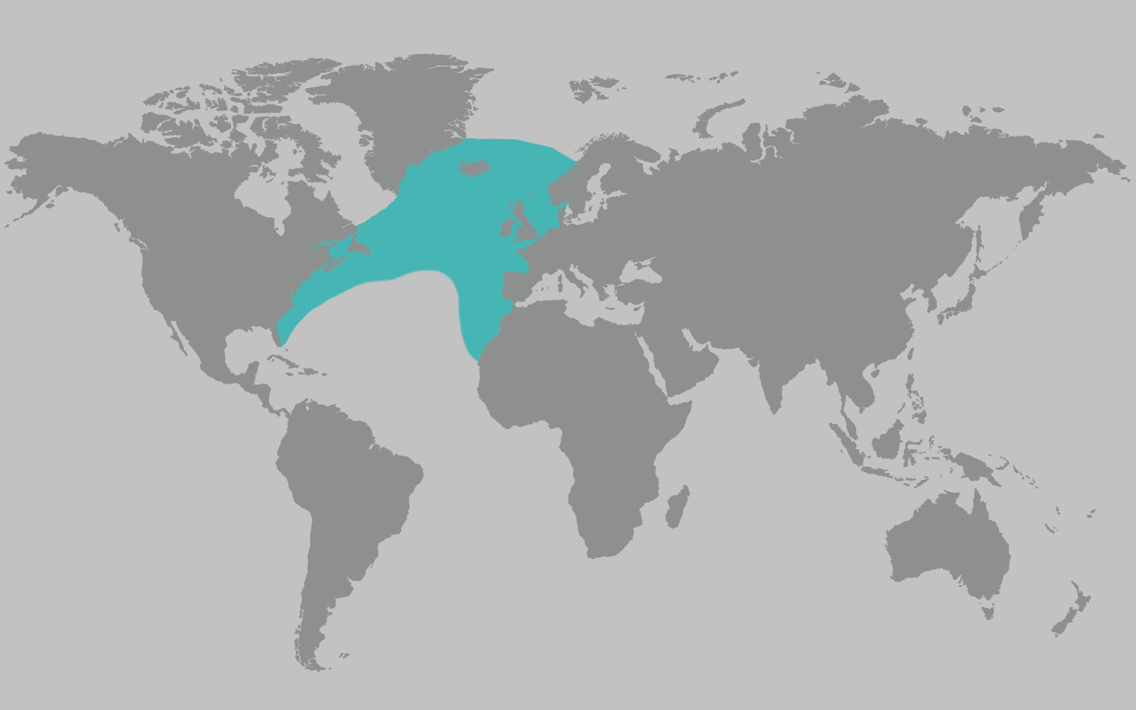 North Atlantic Right Whale Range Map