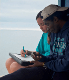 Researchers recording data for Antillean manatee