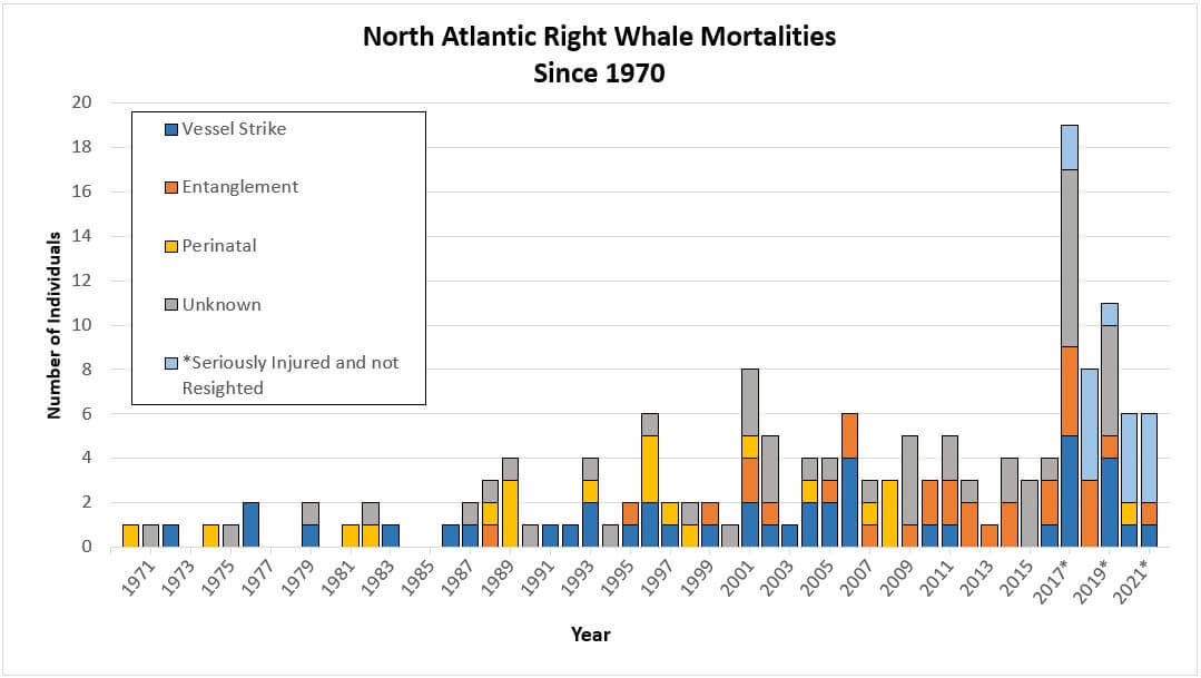 Right Whale Mortality Since 1970