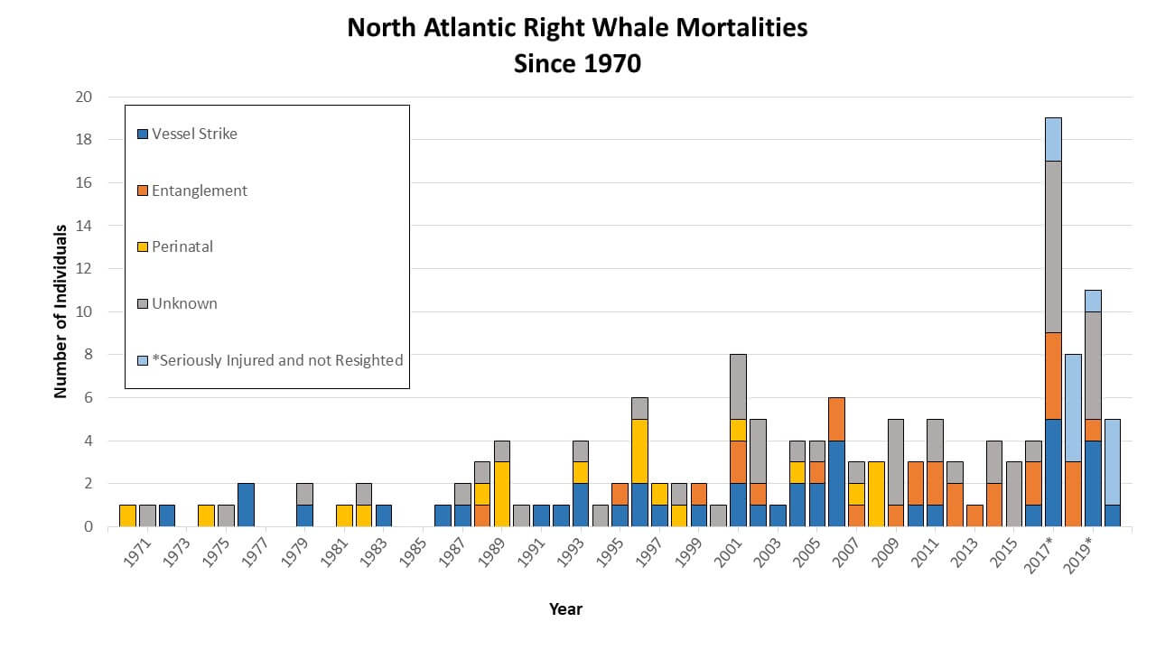 Right Whale Mortality Since 1970