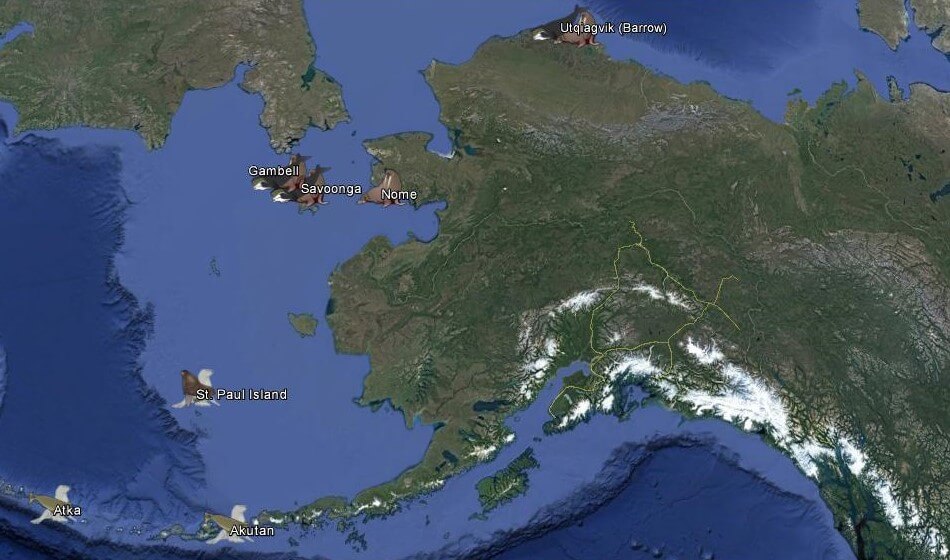 Locations of focus groups and interviews for co-management case studies.