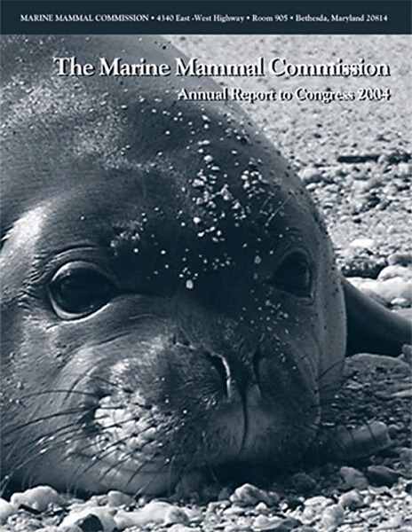 Cover of MMC's 2004 Annual Report