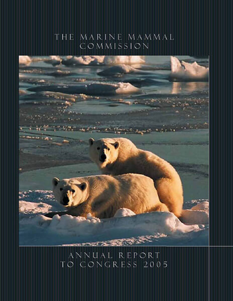 Cover of MMC's 2005 Annual Report