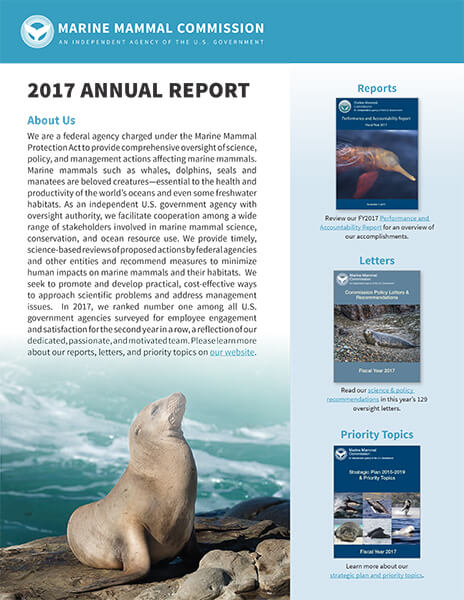 Cover of MMC's 2017 Annual Report