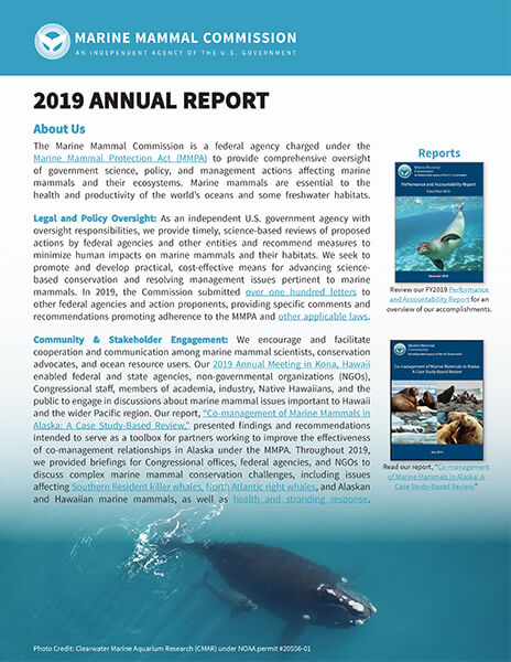 Cover of MMC's 2019 Annual Report