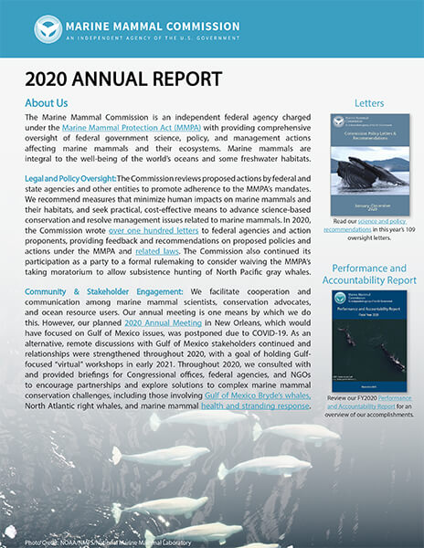 Cover of MMC's 2020 Annual Report