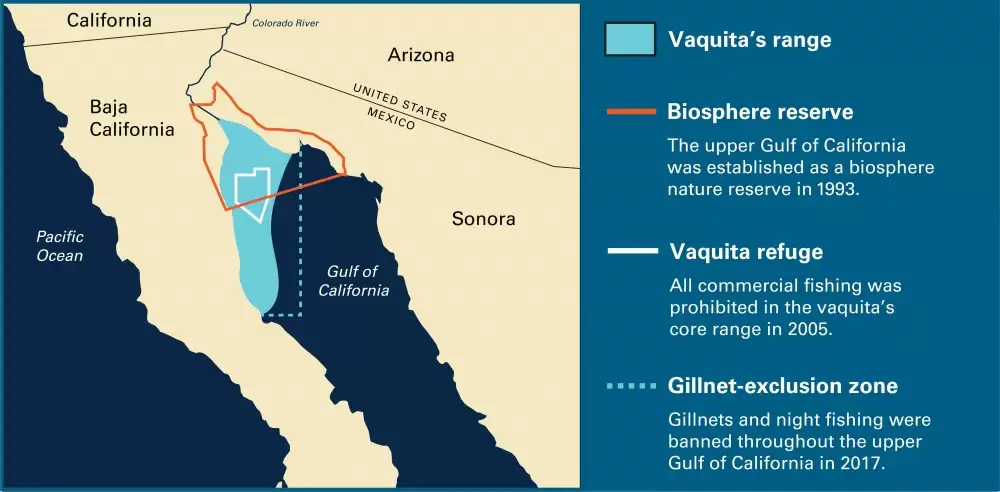A map of the vaquita's range in the Gulf of California. Included in the map is the biosphere reserve, the vaquita refuge, and the gillnet-exclusion zone, all of which are in the northern region of the gulf.