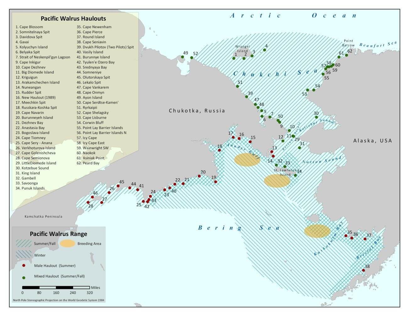 Essential Oil Sourcing Map – Joy of Oiling - Plant Therapy Malaysia